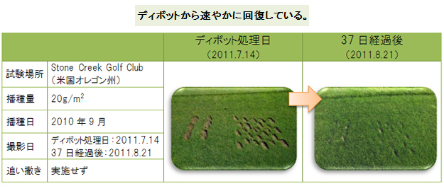 ディボットから速やかに回復している。