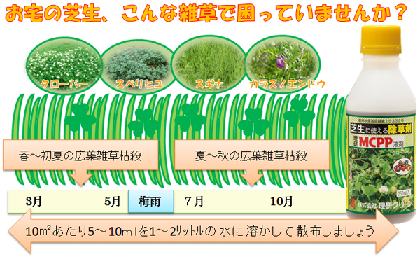 こんな雑草で困っていませんか？