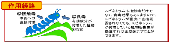 スピネアタックの作用と効果