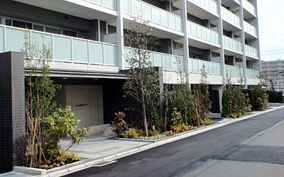 某マンション 植栽