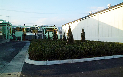 クミアイ化学工業（株）清水工場 植栽