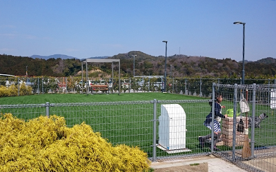 新東名高速道路　浜松SA（上下線）ドックラン改良工事