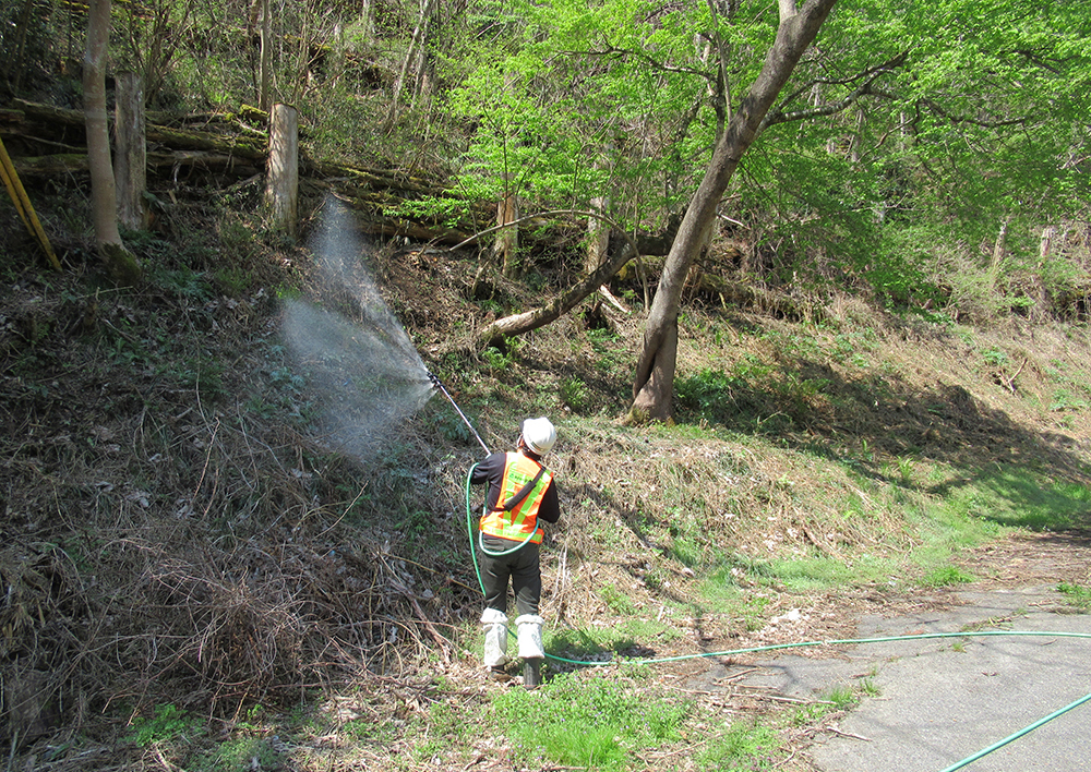 里山の道路際傾斜地に雑草抑制資材を特殊ノズルで散布