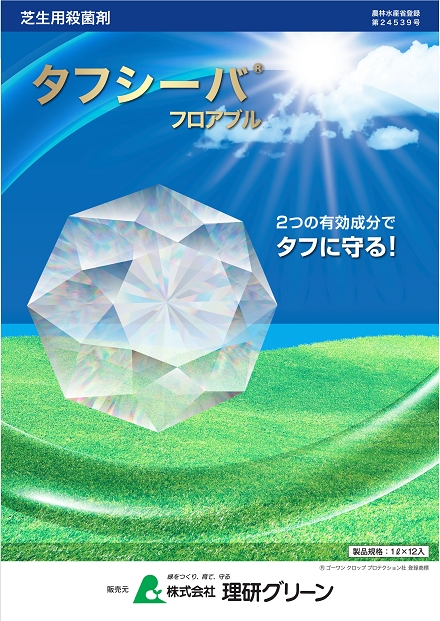 お知らせ画像