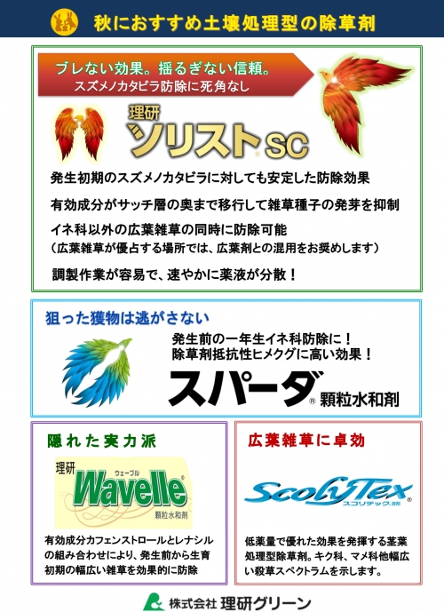 お知らせ画像