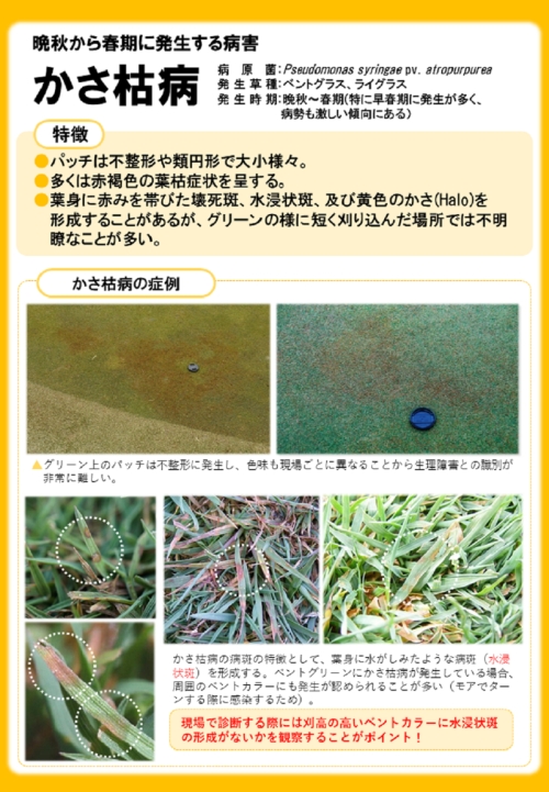 お知らせ画像