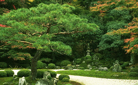 松枯れ防除事業