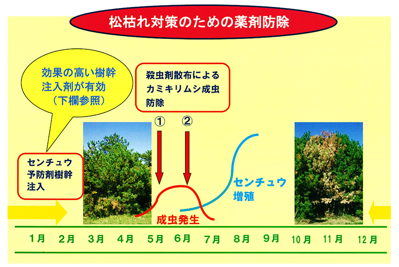 松枯れ対策のための薬剤防除