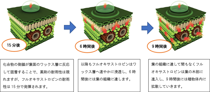 時間ごとの様子