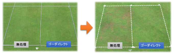 圃場試験結果