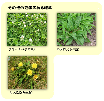 (図)その他効果のある雑草