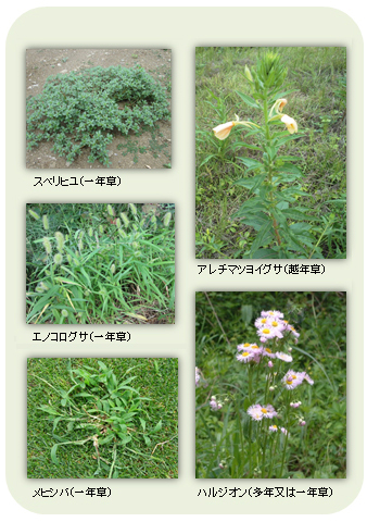 (図)その他効果のある雑草