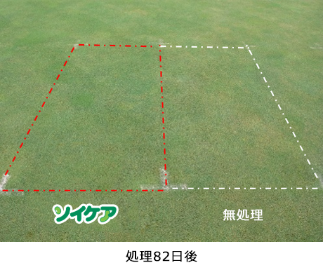 施用事例（圃場試験）