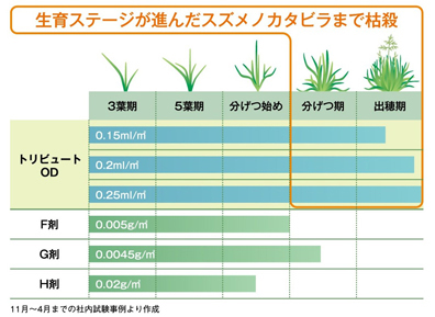 トリビュート（R）ＯＤ除草効果1