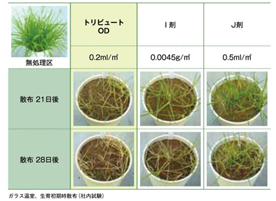 トリビュート（R）ＯＤ殺草スピード