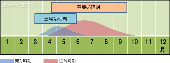 メヒシバの発生消長