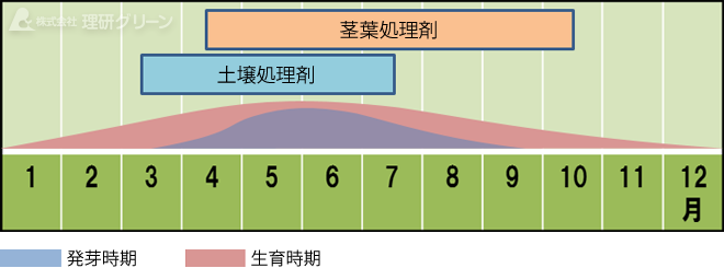 セイヨウタンポポの発生消長