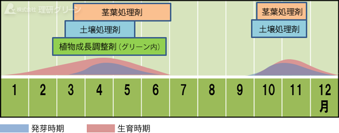 スズメノカタビラの発生消長