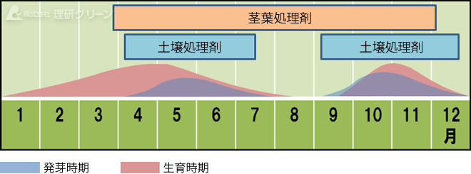 ツメクサの発生消長