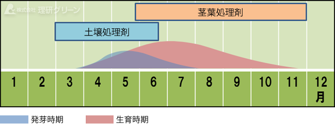 ヤハズソウの発生消長