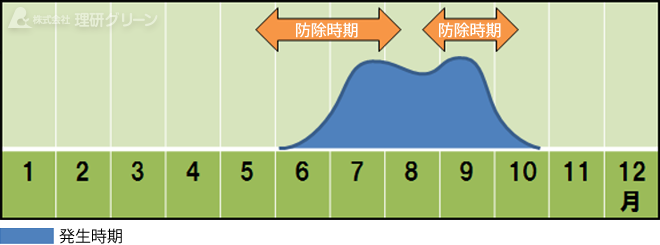 防除方法のご提案／葉腐病（ブラウンパッチ）