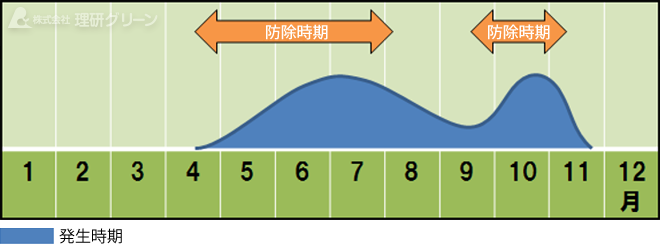 防除方法のご提案／ダラースポット病