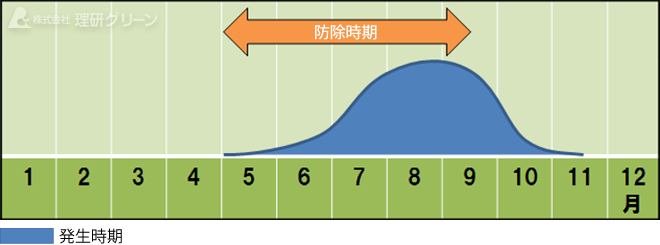 防除方法のご提案／フェアリーリング病