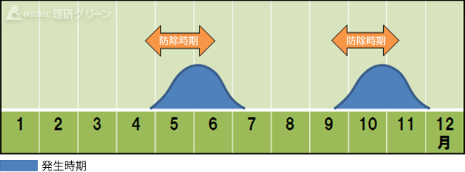 防除方法のご提案／疑似葉腐病（象の足跡）