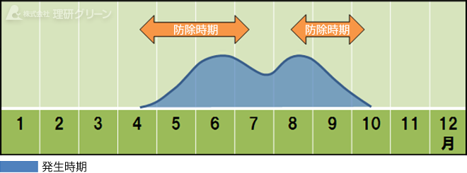 防除方法のご提案／葉腐病（ラージパッチ）