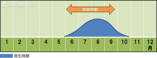 防除方法のご提案／いもち病