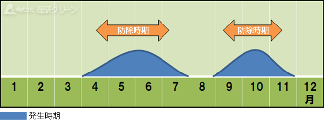 防除方法のご提案／褐斑病