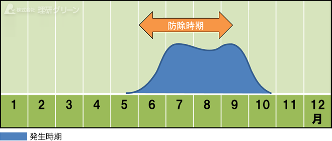 防除方法のご提案／褐条病
