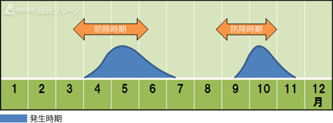 防除方法のご提案／葉腐病（ラージパッチ）