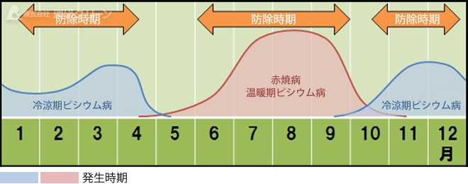 防除方法のご提案／ピシウム性病害