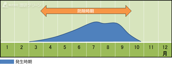 防除方法のご提案／炭疽病
