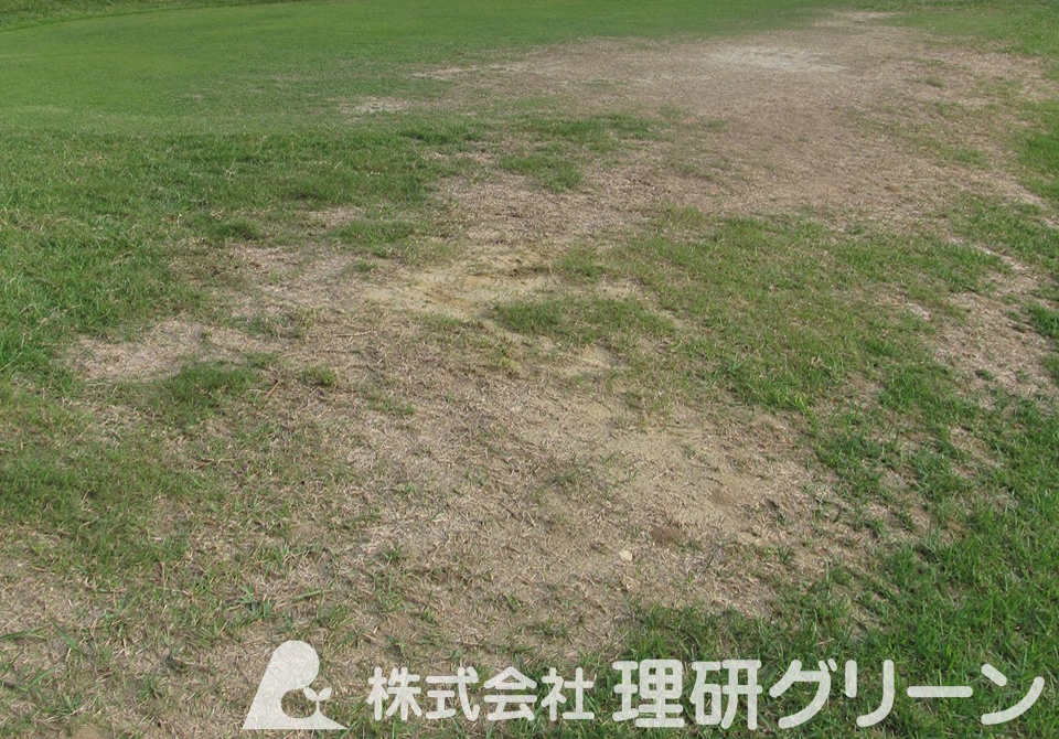 ティーイングエリア法面被害
