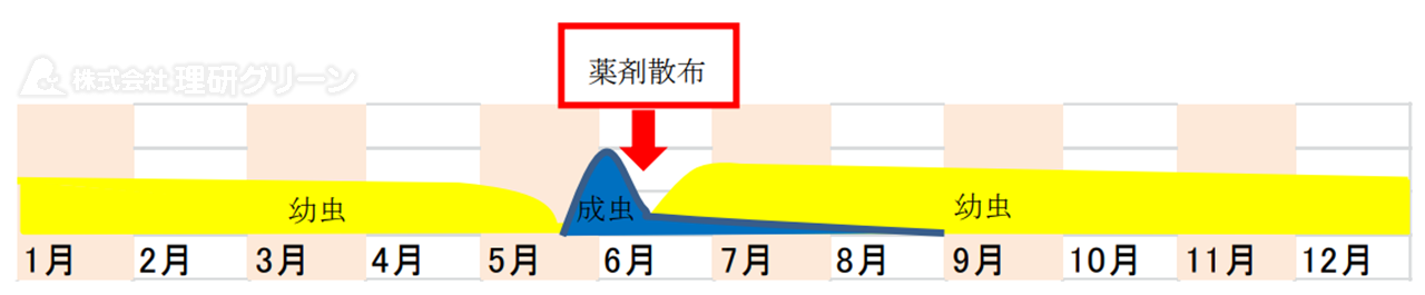チビサクラコガネの防除方法