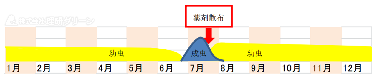 セマダラコガネの防除方法