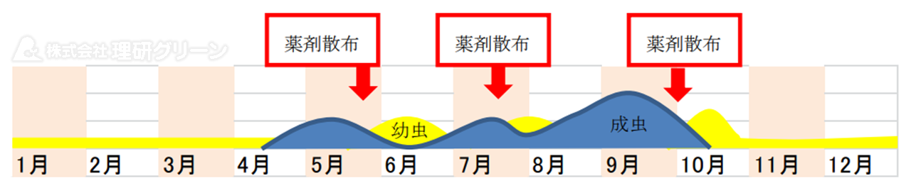 スジキリヨトウの防除方法