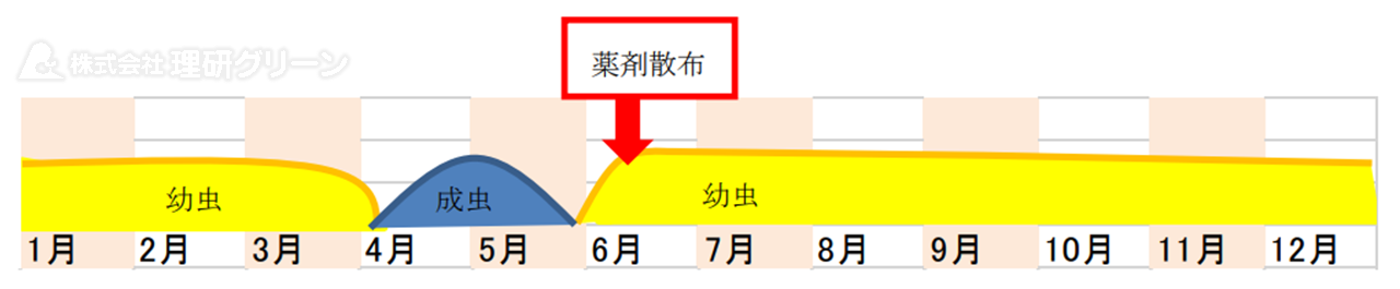 ウスチャコガネの防除方法