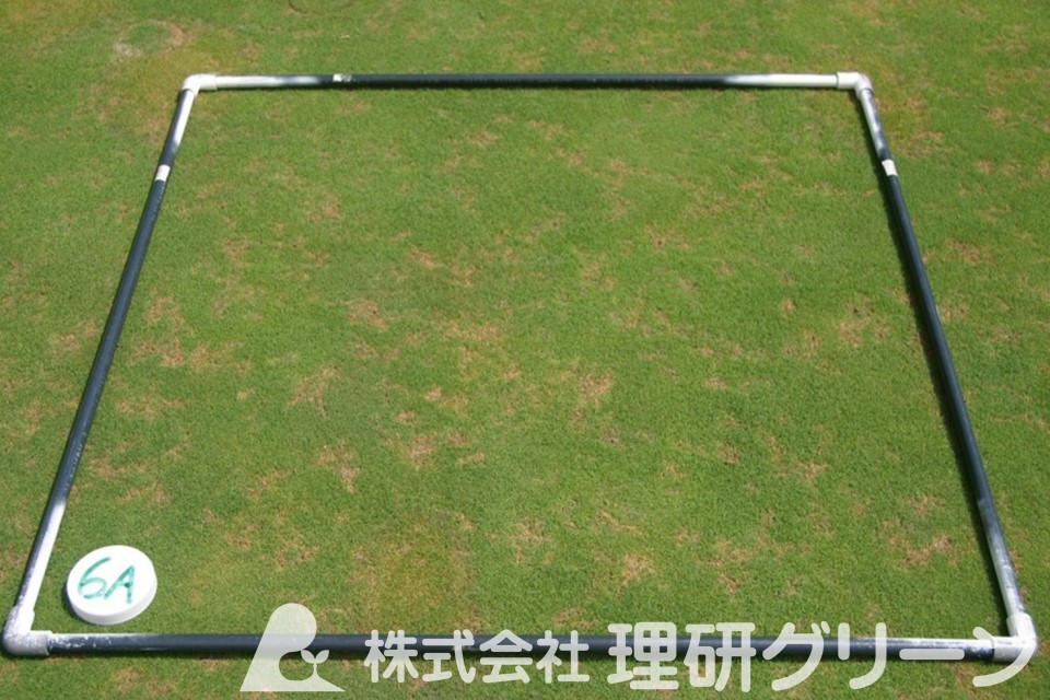 シバツトガの被害